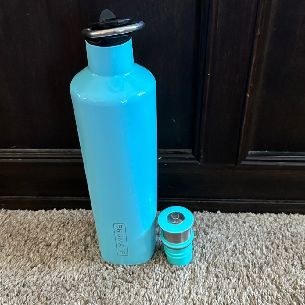Brumate Hydration Bottle
